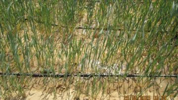 إيجيبت كلاي.. كل ما تريد معرفته عن مشروع حقن التربة الرملية بالطين إيجيبت كلاي.. كل ما تريد معرفته عن مشروع حقن التربة الرملية بالطين