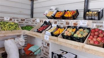 الوادي الجديد تطرح مبادرة خفض الأسعار بمنافذ ثابتة ومتحركة الوادي الجديد تطرح مبادرة خفض الأسعار بمنافذ ثابتة ومتحركة