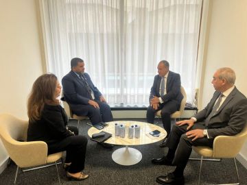 وزير الخارجية يعرب عن تقديره لموقف الإمارات الداعم للمرشح الدكتور خالد العناني باليونسكو