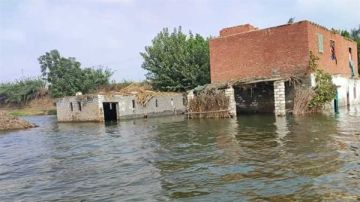 وزير الزراعة: لدينا خطط بديلة لمواجهة تأثيرات سد النهضة وزير الزراعة: لدينا خطط بديلة لمواجهة تأثيرات سد النهضة