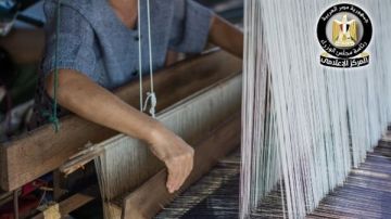 إنشاء أول مركز متكامل لإنتاج الحرير الطبيعي بالوادي الجديد