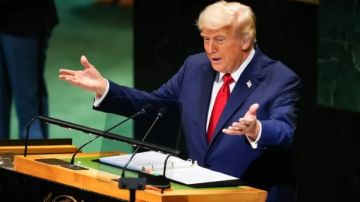 خطة ترامب بين الترحيب الأممي والشكوك الإقليمية.. هل تفتح غزة نافذة سلام جديدة أم مجرد حلم مؤجل؟