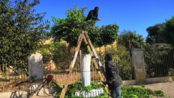 إزالة المخلفات بمدينتي المنصورة وطلخا ورفع 465 طن مخلفات بلدية إزالة المخلفات بمدينتي المنصورة وطلخا ورفع 465 طن مخلفات بلدية