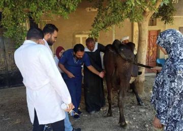 إطلاق قافلة بيطرية مجانية بقرية تانوف في المنيا