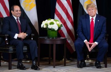 السيسي يوجه رسالة إلى ترامب.. ويدعو لبدء تنفيذ الاتفاق دون انتظار التوقيع الرسمي السيسي يوجه رسالة إلى ترامب.. ويدعو لبدء تنفيذ الاتفاق دون انتظار التوقيع الرسمي