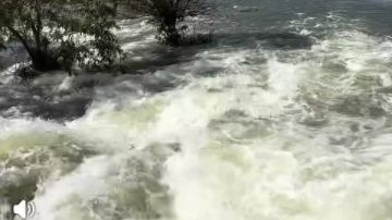 رى القليوبية: لا خوف من أراضى طرح النهر بسبب زيادة منسوب المياه