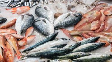 قبل دخول الشتاء.. تفاوت كبير فى أسعار الأسماك