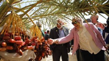 خلال زيارتهم للمحافظة.. الزملوط وإمبابي يتفقدون مزرعة تمور نموذجية