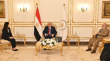 وزير الري يؤكد أهمية التعاون مع برنامج الأمم المتحدة الإنمائي في مشروعات حماية الشواطئ