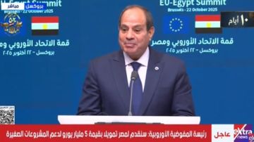 الرئيس السيسي: مصر معبر آمن وجسر حيوي لأوروبا وشريك جاد لاستقبال الاستثمارات الرئيس السيسي: مصر معبر آمن وجسر حيوي لأوروبا وشريك جاد لاستقبال الاستثمارات