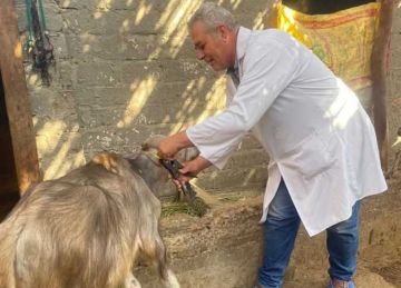 غدا.. انطلاق الحملة القومية الثالثة لتحصين الماشية ضد الحمى القلاعية في الشرقية غدا.. انطلاق الحملة القومية الثالثة لتحصين الماشية ضد الحمى القلاعية في الشرقية