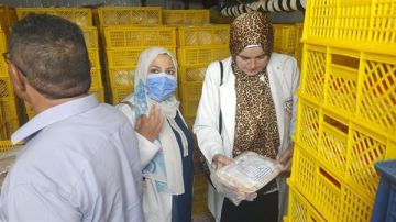 الزراعة: ضبط 224 طن لحوم ودواجن وأسماك وتحرير 466 محضرا الزراعة: ضبط 224 طن لحوم ودواجن وأسماك وتحرير 466 محضرا