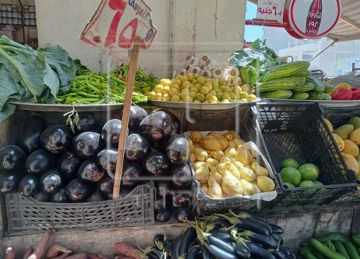 الكرنبة بـ30 جنيه.. أسعار الخضروات اليوم الثلاثاء 28 أكتوبر 2025 في أسواق المنيا الكرنبة بـ30 جنيه.. أسعار الخضروات اليوم الثلاثاء 28 أكتوبر 2025 في أسواق المنيا