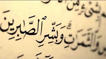 جزاء الصبر في القرآن.. عضو الأزهر للفتوى: له أجر لا يحصى إذا كان لوجه الله جزاء الصبر في القرآن.. عضو الأزهر للفتوى: له أجر لا يحصى إذا كان لوجه الله