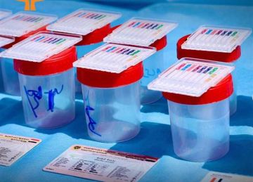 ضبط 12 سائق حافلات مدرسية يتعاطون الحشيش والشابو والترامادول.. وإحالتهم إلى النيابة ضبط 12 سائق حافلات مدرسية يتعاطون الحشيش والشابو والترامادول.. وإحالتهم إلى النيابة