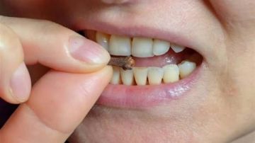 ماذا يحدث للجسم عند مضغ حبة من القرنفل يوميا؟.. فوائد مذهلة وأضرار خفية ماذا يحدث للجسم عند مضغ حبة من القرنفل يوميا؟.. فوائد مذهلة وأضرار خفية