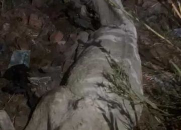 بعد العثور على حمار مذبوح.. تحركات عاجلة وحملات تفتيش موسعة في الغربية