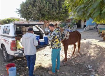 قافلة بيطرية شاملة بقرية 27 بالحمام لعلاج 3497 رأسا من الماشية بمطروح قافلة بيطرية شاملة بقرية 27 بالحمام لعلاج 3497 رأسا من الماشية بمطروح