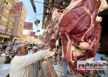 شعبة القصابين: تراجع شراء اللحوم 20 .. والجزارون يتجهون لفتح مطاعم لبيع الحواوشي شعبة القصابين: تراجع شراء اللحوم 20 .. والجزارون يتجهون لفتح مطاعم لبيع الحواوشي