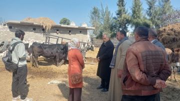 الإرشاد الزراعي ينفذ 17 ورشة عمل و382 ندوة في 18 محافظة