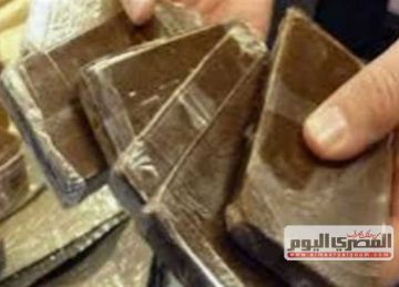 بحوزتهما 50 كيس حشيش.. حبس عنصرين شديدي الخطورة في المحلة بحوزتهما 50 كيس حشيش.. حبس عنصرين شديدي الخطورة في المحلة