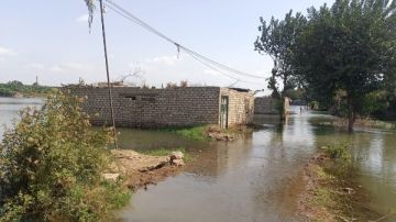 بعد تحذير مركز أشمون.. منوف تحذر من فيضان النيل وإخلاء منازل وأراضي طرح النهر