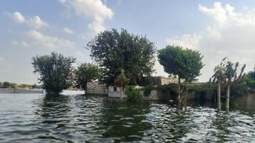 بعد غمر الفيضان لأراضيهم.. قطع الكهرباء عن منازل قرية دلهمو في المنوفية بعد غمر الفيضان لأراضيهم.. قطع الكهرباء عن منازل قرية دلهمو في المنوفية