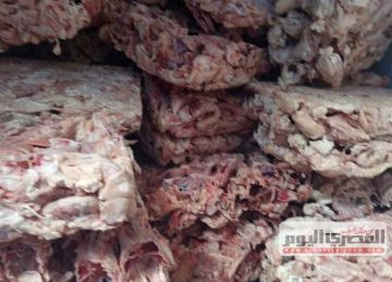 ضبط 5 أطنان لحوم مفرومة وهياكل دواجن غير صالحة للاستهلاك الآدمي في دسوق بكفر الشيخ ضبط 5 أطنان لحوم مفرومة وهياكل دواجن غير صالحة للاستهلاك الآدمي في دسوق بكفر الشيخ