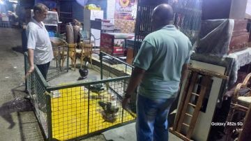 رئيس مدينة بورفؤاد يتابع الحملات المكثفة لإزالة الإشغالات.. صور