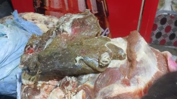 ضبط أكثر من طن لحوم وأسماك فاسدة في سوهاج ضبط أكثر من طن لحوم وأسماك فاسدة في سوهاج