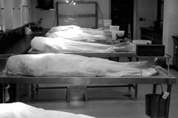 مصرع 4 أشخاص بصعق كهربائي أثناء عملهم بمزرعة في قنا مصرع 4 أشخاص بصعق كهربائي أثناء عملهم بمزرعة في قنا