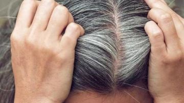 5 أطعمة تساعد في إبطاء أو منع الشيب المبكر للشعر 5 أطعمة تساعد في إبطاء أو منع الشيب المبكر للشعر