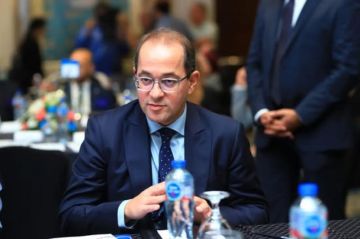 المالية: رصيد الاستثمارات الأجنبية الكورية المباشرة بمصر يتجاوز 6 مليارات دولار