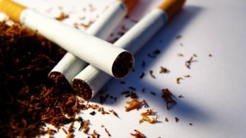 هل ترتفع أسعار السجائر الشهر المقبل؟.. شعبة الدخان تحسم الجدل هل ترتفع أسعار السجائر الشهر المقبل؟.. شعبة الدخان تحسم الجدل