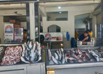 أسعار الكابوريا والجمبري والأسماك بالأسواق اليوم الأحد 12 أكتوبر 2025 أسعار الكابوريا والجمبري والأسماك بالأسواق اليوم الأحد 12 أكتوبر 2025