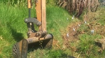 زراعة الأقصر تنهي تطوير مسقى نهاية الجبل بإسنا بطول 1500 متر