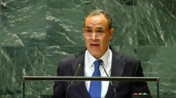 عاجل لقاءات مكثفة لوزير الخارجية غدا على هامش حفل افتتاح المتحف المصري الكبير