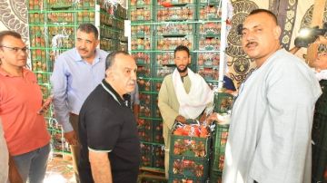 محافظ أسيوط يتابع منظومة تجهيز وتصدير الذهب الأحمر بقرية بويط