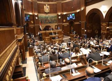 بعد صدور قرار جمهوري بتعيينهم في مجلس الشيوخ.. أعضاء مستمرون لدورة جديدة