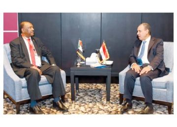 مصر تؤكد تضامنها الكامل مع استقرار السودان وأمنه ووحدة وسلامة أراضيه