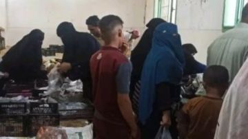 أخبار الوادي الجديد: منافذ ثابتة للسلع الغذائية.. والزراعة تستعد للمحاصيل الشتوية.. ومصرع شاب صعقا بالكهرباء أخبار الوادي الجديد: منافذ ثابتة للسلع الغذائية.. والزراعة تستعد للمحاصيل الشتوية.. ومصرع شاب صعقا بالكهرباء