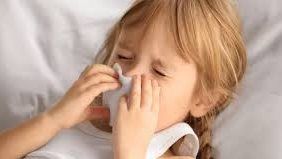 استشاري: تقلبات الخريف وراء انتشار نزلات البرد.. والعدوى التنفسية في المدارس أمر طبيعي  استشاري: تقلبات الخريف وراء انتشار نزلات البرد.. والعدوى التنفسية في المدارس أمر طبيعي