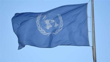 الأمم المتحدة: الاعتداءات الإسرائيلية المتواصلة على المزارعين الفلسطينيين هدفها تجريدهم من ممتلكاتهم الأمم المتحدة: الاعتداءات الإسرائيلية المتواصلة على المزارعين الفلسطينيين هدفها تجريدهم من ممتلكاتهم