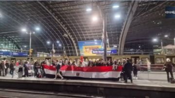 الجالية المصرية في بروكسل تستعد لاستقبال الرئيس السيسي