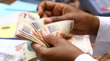 لا تعويض لمن ترك العمل بإرادته.. القانون يحدد شروط استحقاق إعانة البطالة