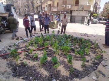 وزيرة التنمية المحلية تتابع المرحلة الرابعة من المبادرة الرئاسية 100 مليون شجرة  وزيرة التنمية المحلية تتابع المرحلة الرابعة من المبادرة الرئاسية 100 مليون شجرة