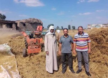 يتجميع 320 ألف طن.. إطلاق حملات ميدانية لمتابعة مواقع حصاد الأرز في الشرقية