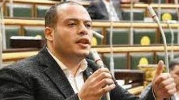 برلماني: قمة شرم الشيخ تبرز الدور المحوري لمصر كقوة إقليمية فاعلة