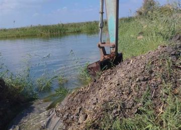 بورسعيد تزيل 5 مزارع سمكية مخالفة بمساحة تزيد عن 100 فدان