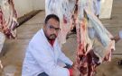 إجراءات صارمة لحماية المستهلك.. الطب البيطري بالأقصر يتعامل مع حالة مرضية مفاجئة لعجل قبل تداوله - eg